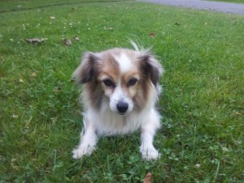 Betty
